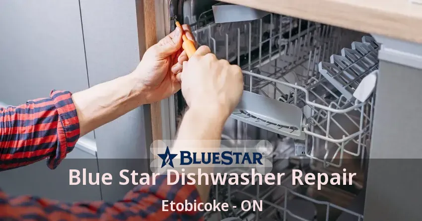 Blue Star Dishwasher Repair Etobicoke - ON
