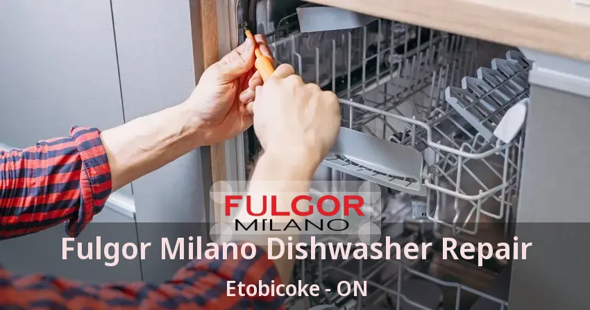 Fulgor Milano Dishwasher Repair Etobicoke - ON