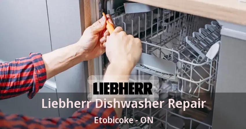 Liebherr Dishwasher Repair Etobicoke - ON