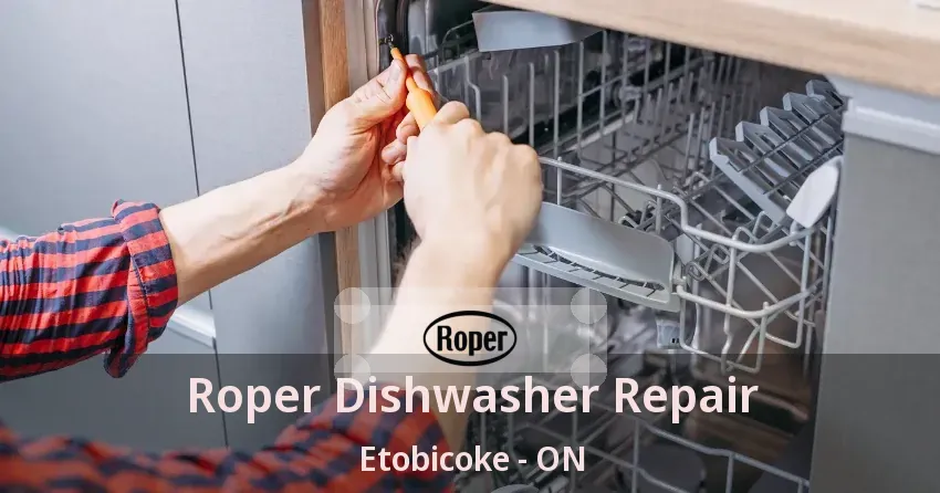 Roper Dishwasher Repair Etobicoke - ON