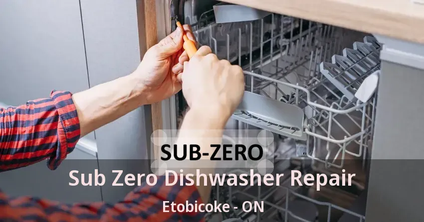 Sub Zero Dishwasher Repair Etobicoke - ON