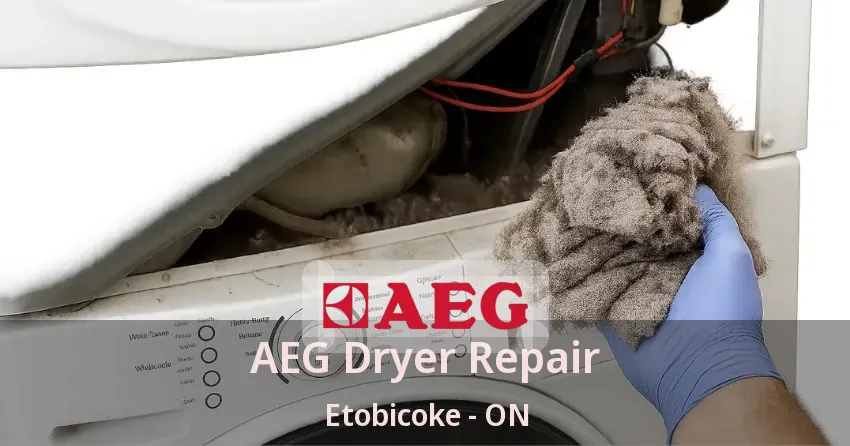 AEG Dryer Repair Etobicoke - ON
