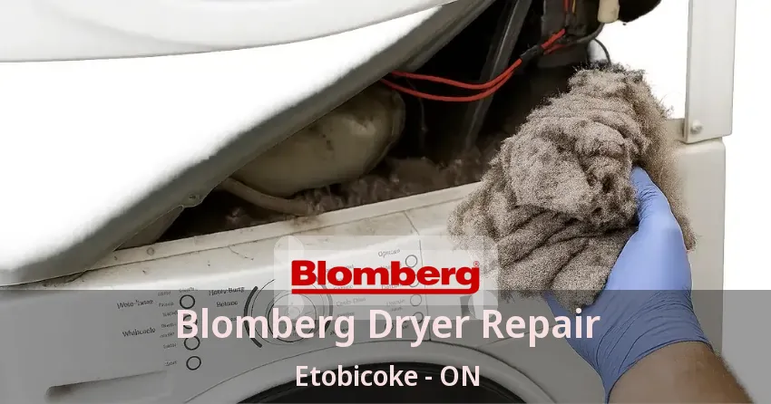 Blomberg Dryer Repair Etobicoke - ON