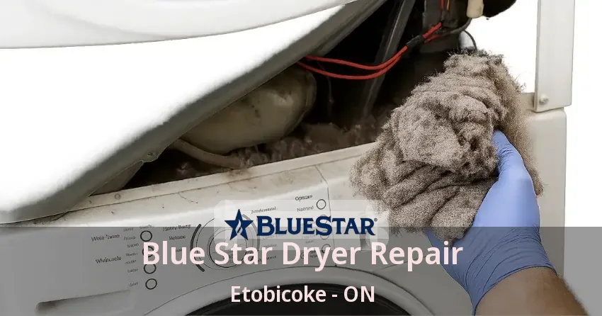 Blue Star Dryer Repair Etobicoke - ON