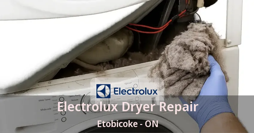 Electrolux Dryer Repair Etobicoke - ON