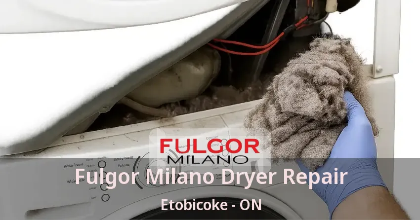 Fulgor Milano Dryer Repair Etobicoke - ON