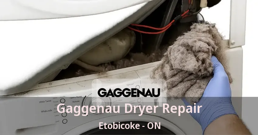 Gaggenau Dryer Repair Etobicoke - ON