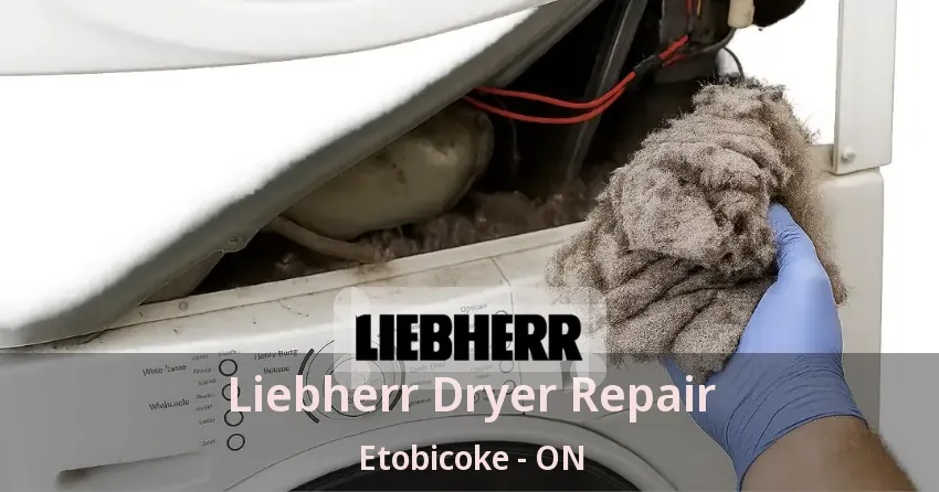 Liebherr Dryer Repair Etobicoke - ON