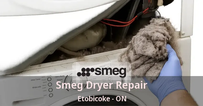 Smeg Dryer Repair Etobicoke - ON