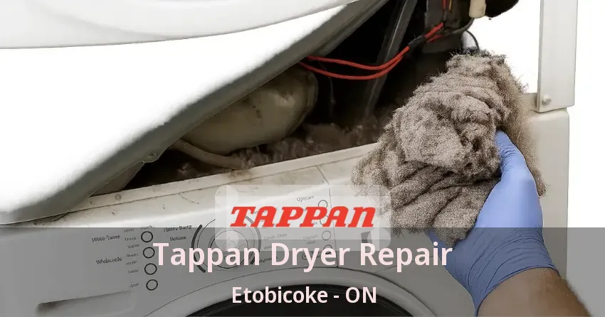 Tappan Dryer Repair Etobicoke - ON