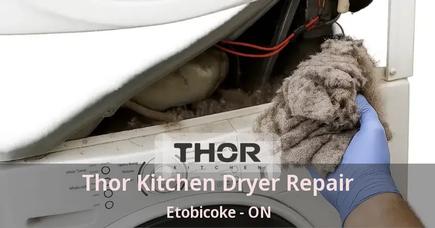 Thor Kitchen Dryer Repair Etobicoke - ON