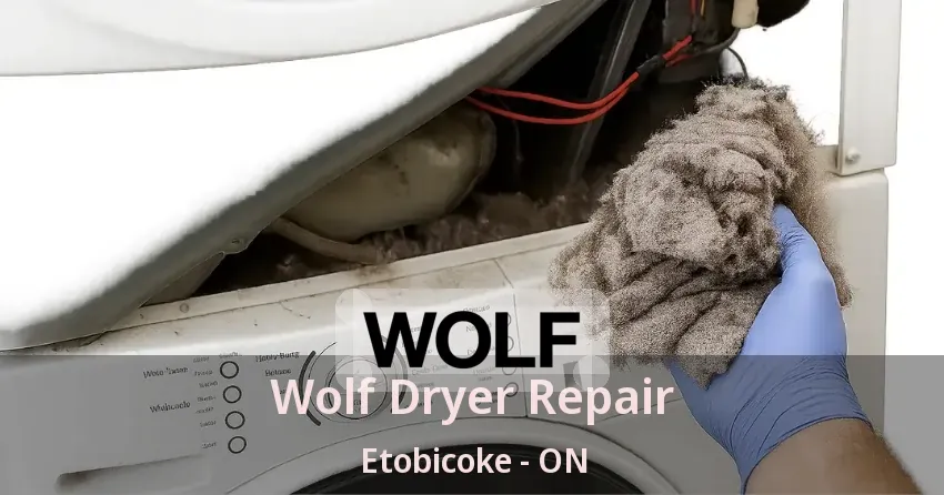 Wolf Dryer Repair Etobicoke - ON