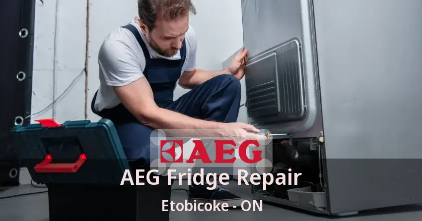 AEG Fridge Repair Etobicoke - ON
