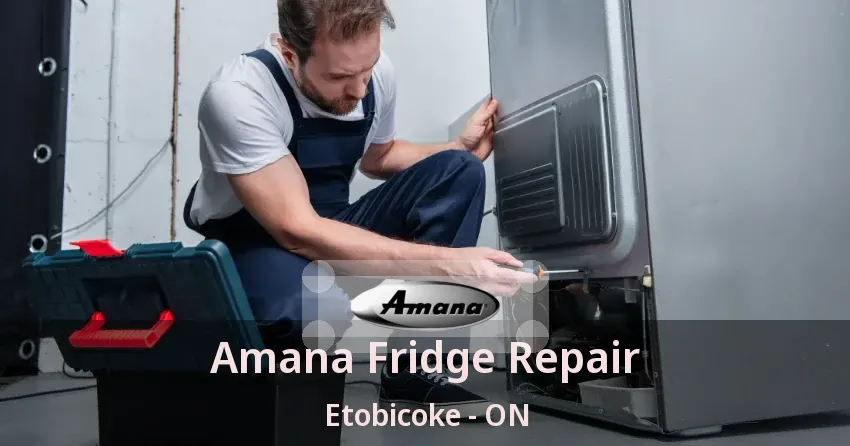 Amana Fridge Repair Etobicoke - ON