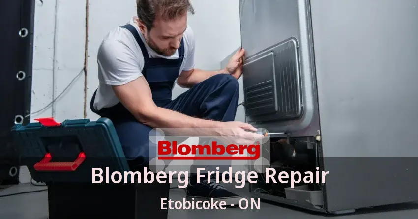 Blomberg Fridge Repair Etobicoke - ON