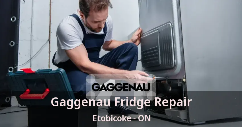 Gaggenau Fridge Repair Etobicoke - ON