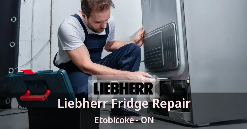 Liebherr Fridge Repair Etobicoke - ON