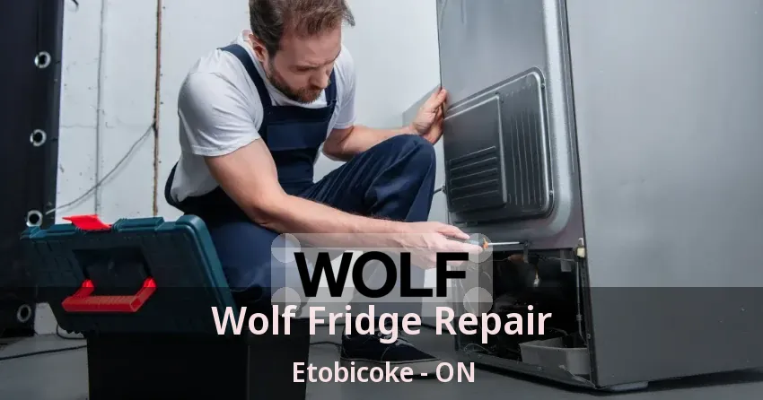 Wolf Fridge Repair Etobicoke - ON