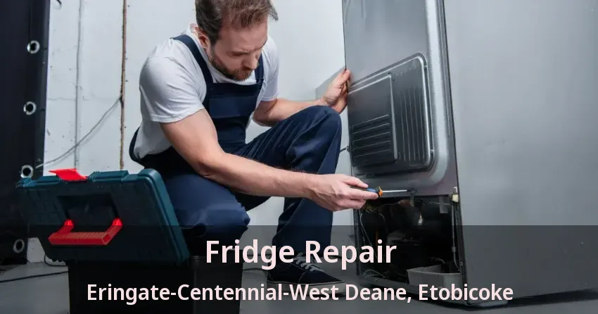 Fridge Repair Eringate-Centennial-West Deane, Etobicoke - ON