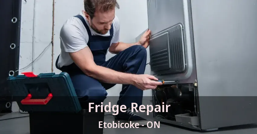 Fridge Repair Etobicoke - ON