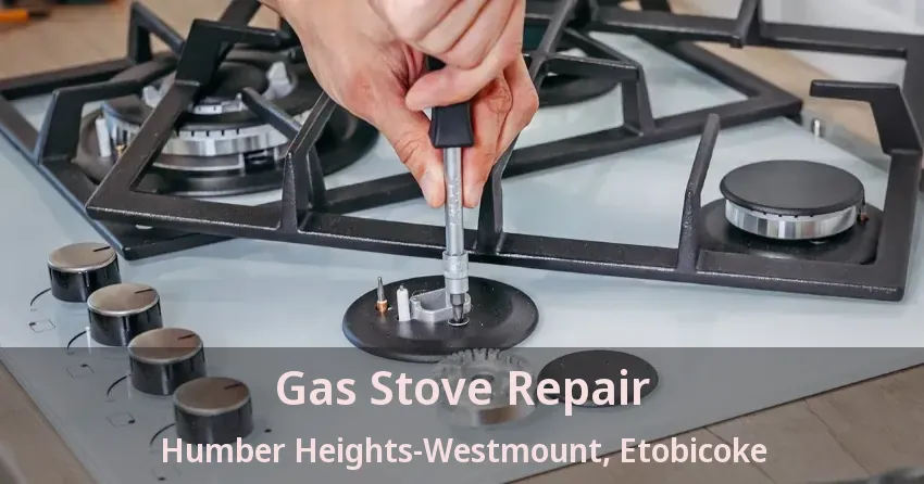 Gas Stove Repair Humber Heights-Westmount, Etobicoke - ON