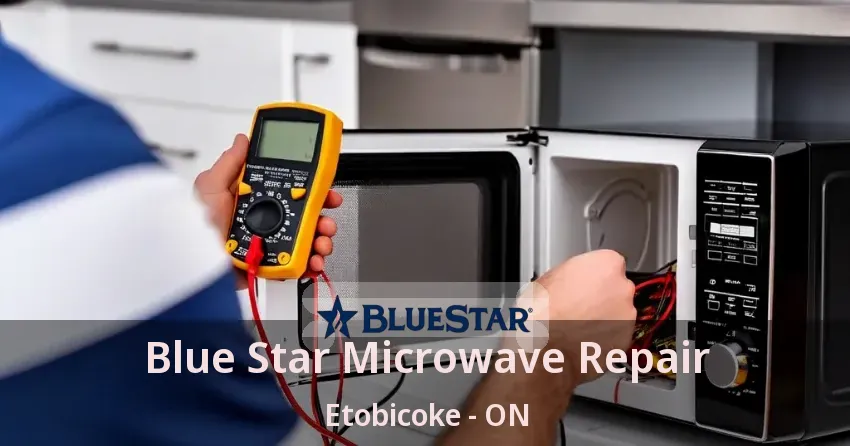 Blue Star Microwave Repair Etobicoke - ON