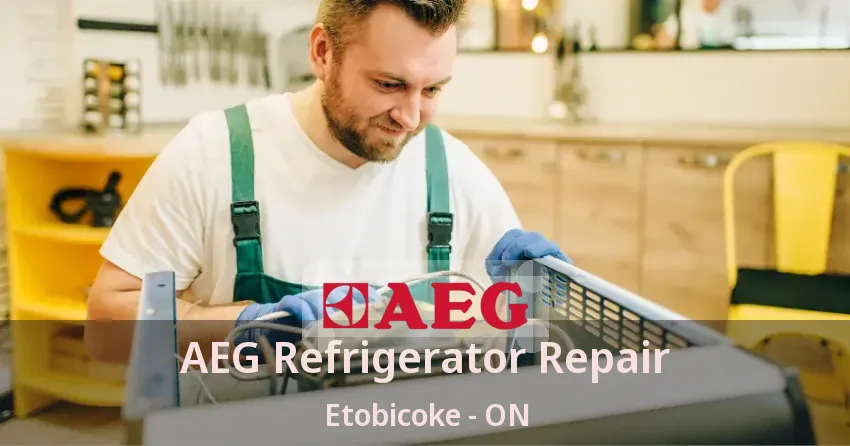 AEG Refrigerator Repair Etobicoke - ON