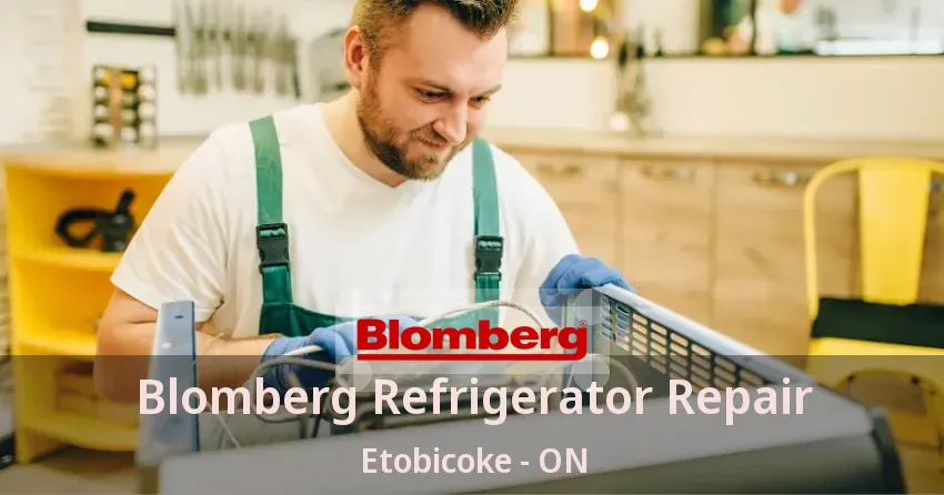Blomberg Refrigerator Repair Etobicoke - ON