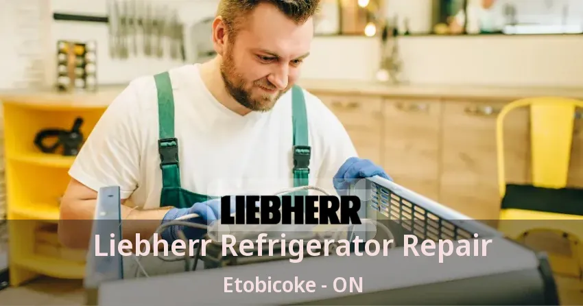 Liebherr Refrigerator Repair Etobicoke - ON