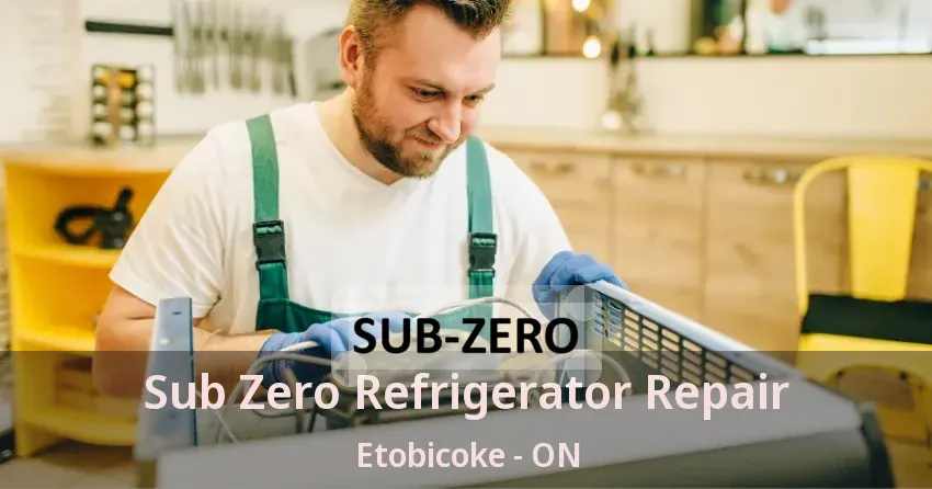 Sub Zero Refrigerator Repair Etobicoke - ON