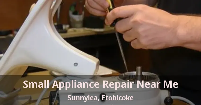 Small Appliance Repair Near Me Sunnylea, Etobicoke - ON