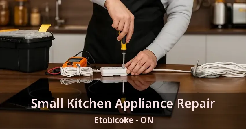 Small Kitchen Appliance Repair Etobicoke - ON