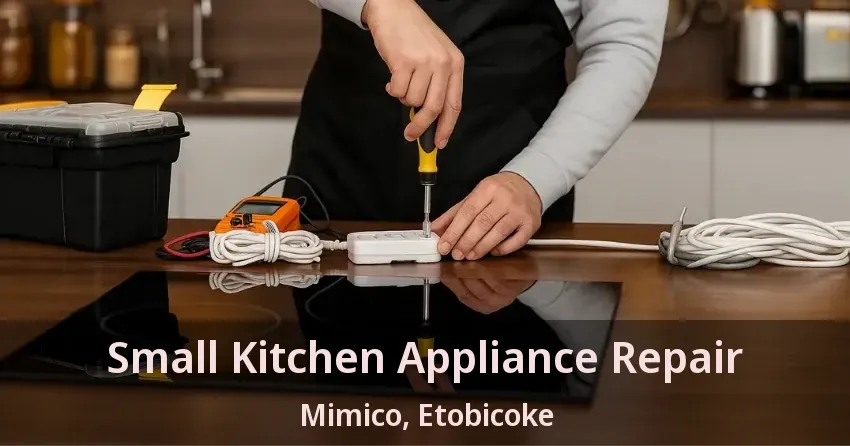 Small Kitchen Appliance Repair Mimico, Etobicoke - ON