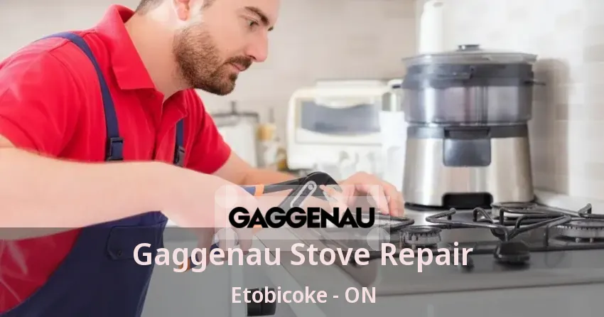 Gaggenau Stove Repair Etobicoke - ON