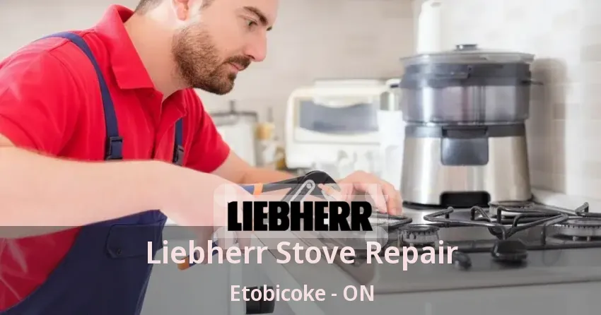 Liebherr Stove Repair Etobicoke - ON
