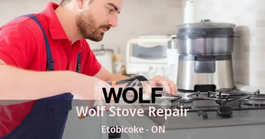 Wolf Stove Repair Etobicoke - ON
