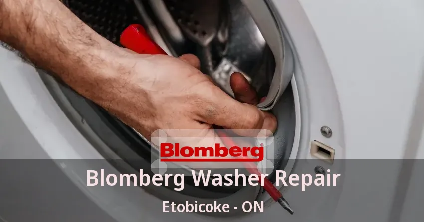 Blomberg Washer Repair Etobicoke - ON