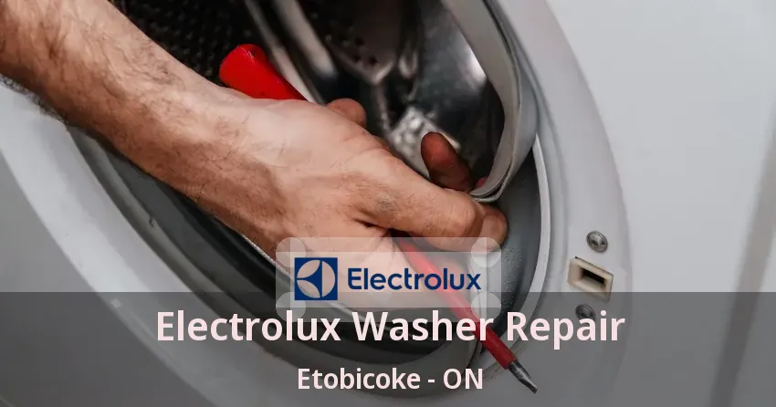 Electrolux Washer Repair Etobicoke - ON