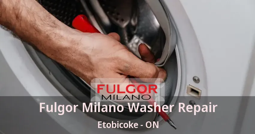 Fulgor Milano Washer Repair Etobicoke - ON