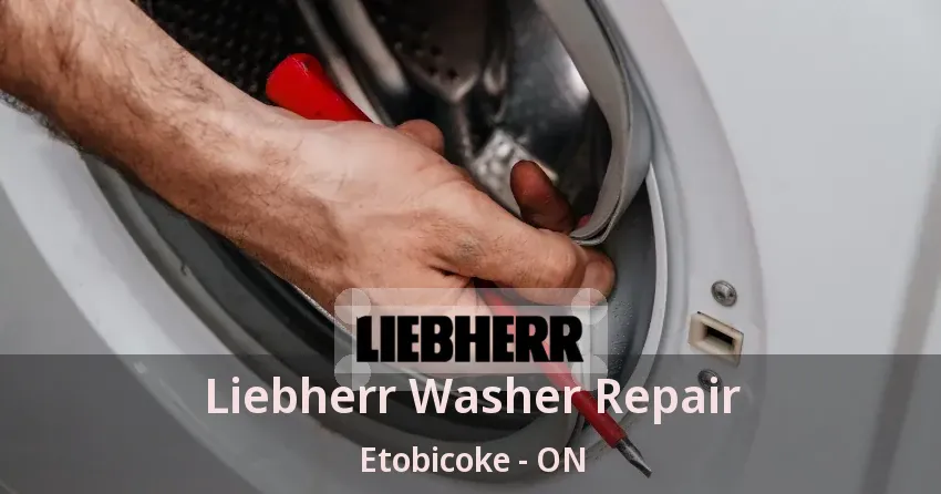 Liebherr Washer Repair Etobicoke - ON