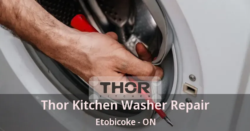 Thor Kitchen Washer Repair Etobicoke - ON