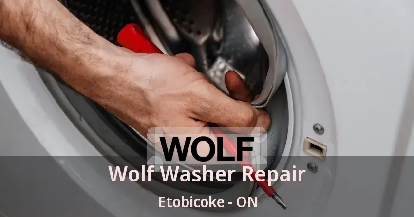 Wolf Washer Repair Etobicoke - ON